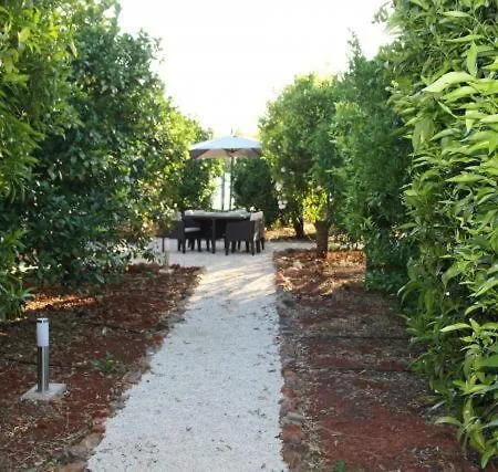 Yurt In Orange Grove