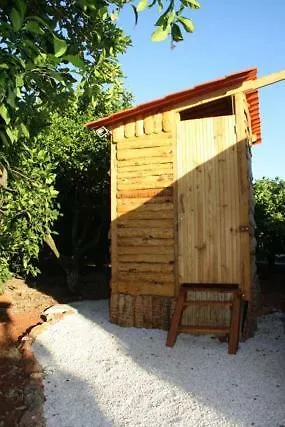 Yurt In Orange Grove